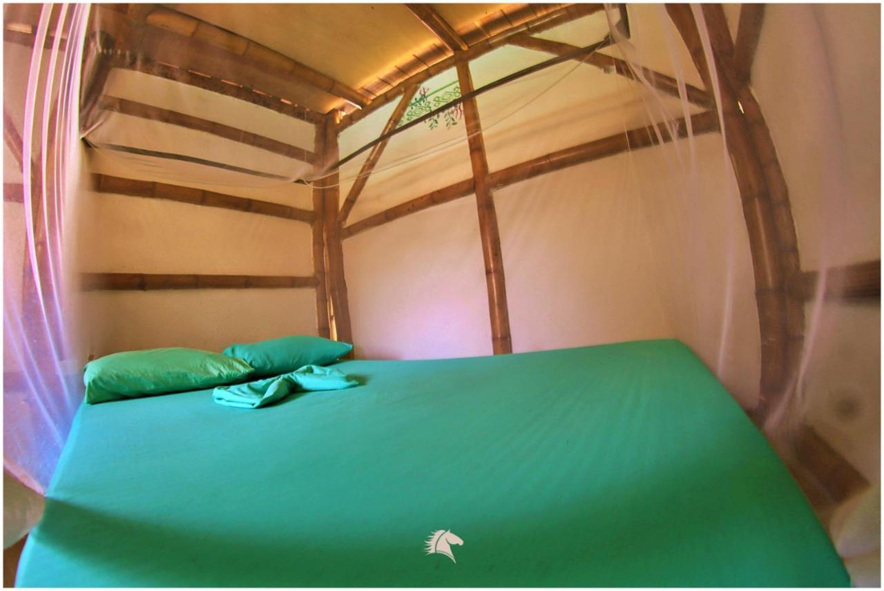 Kaluta Hostel Palomino Kültér fotó